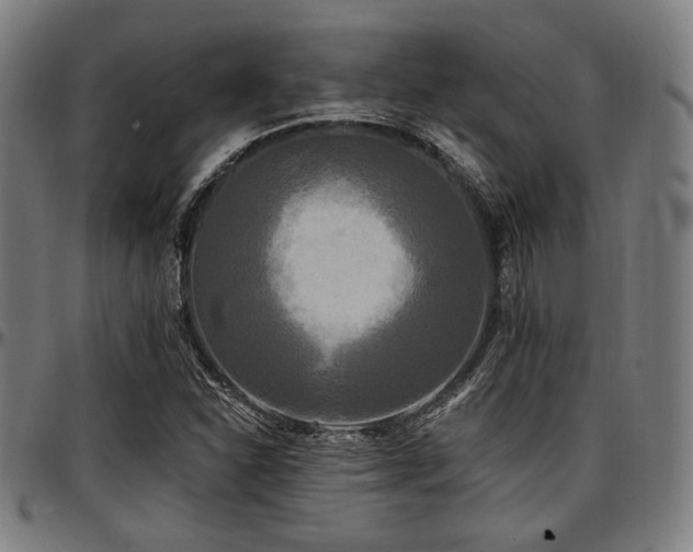 X0000097591310200802291209