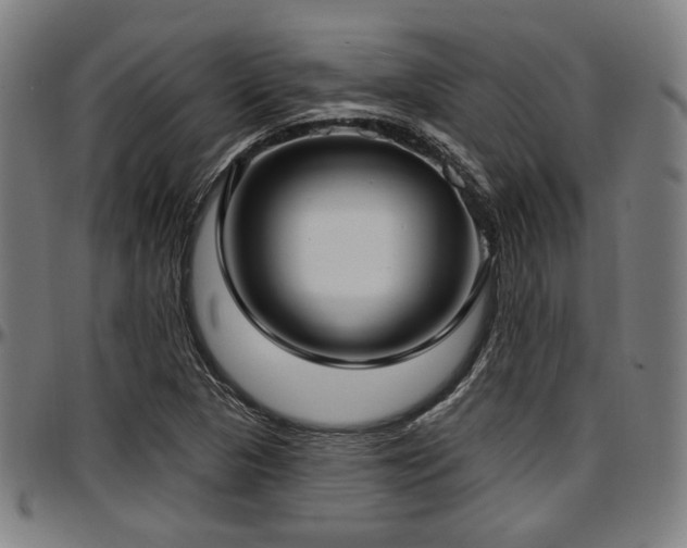 X0000097591313200802291209