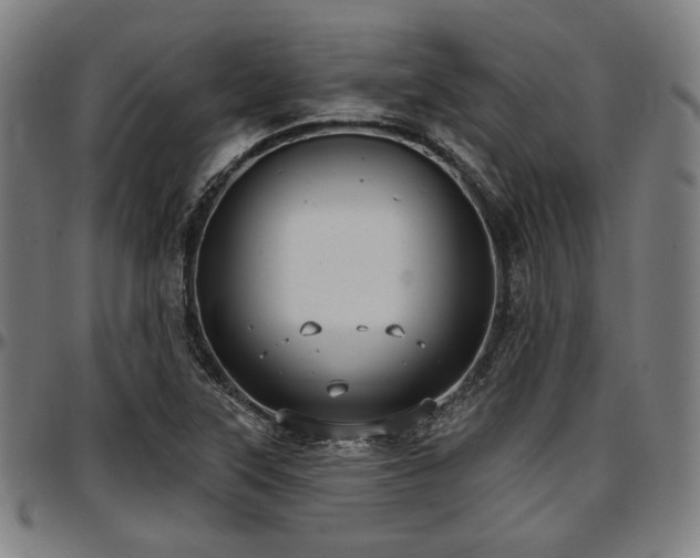 X0000097591315200802291209