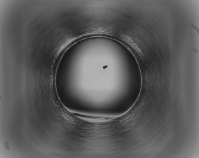 X0000097591316200802291209