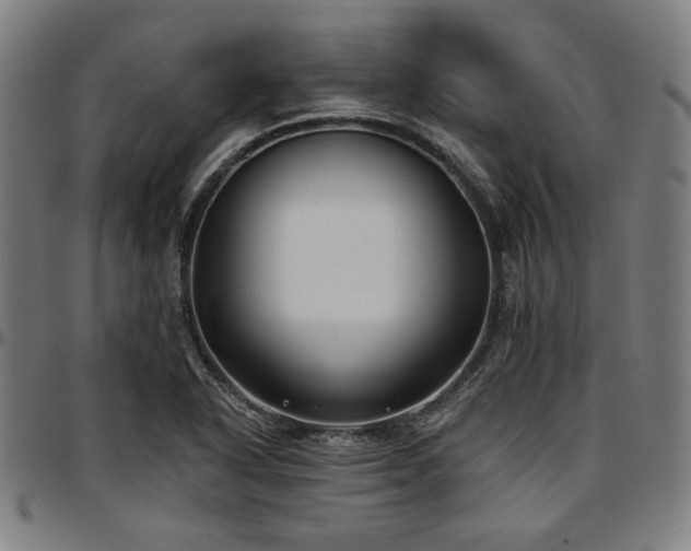 X0000097591318200802291209