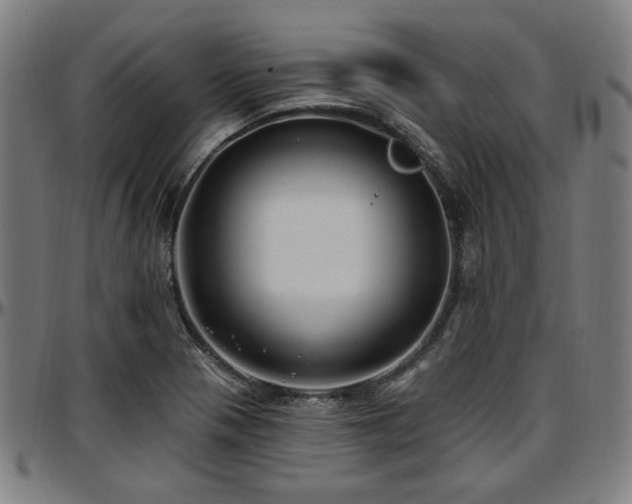 X0000097591321200802291209