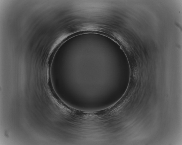 X0000097591323200802291209
