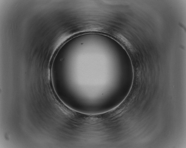 X0000097591324200802291209