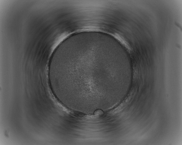X0000097591325200802291209
