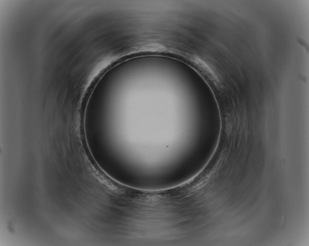X0000097591326200802291209