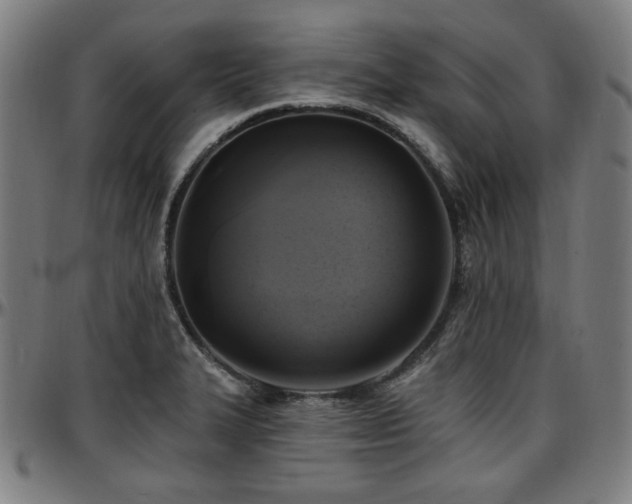 X0000097591327200802291209