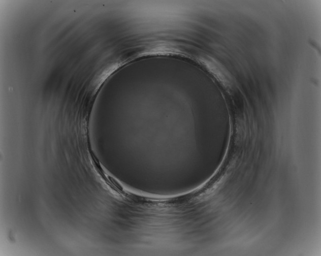 X0000097591329200802291209