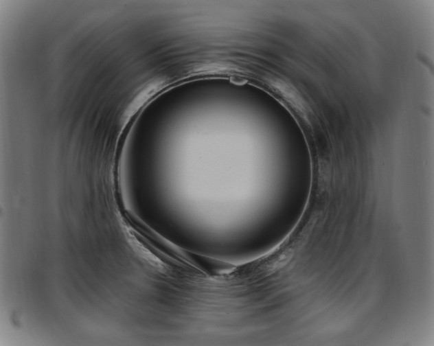 X0000097591330200802291209