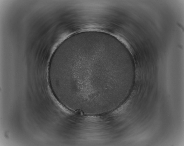X0000097591333200802291209
