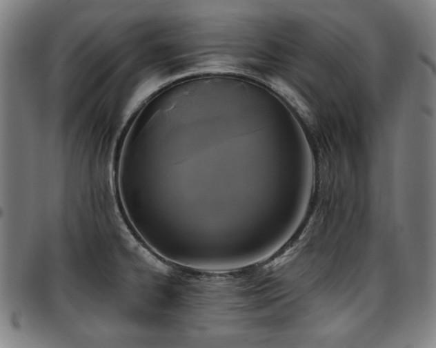 X0000097591334200802291209