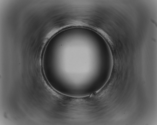 X0000097591335200802291209