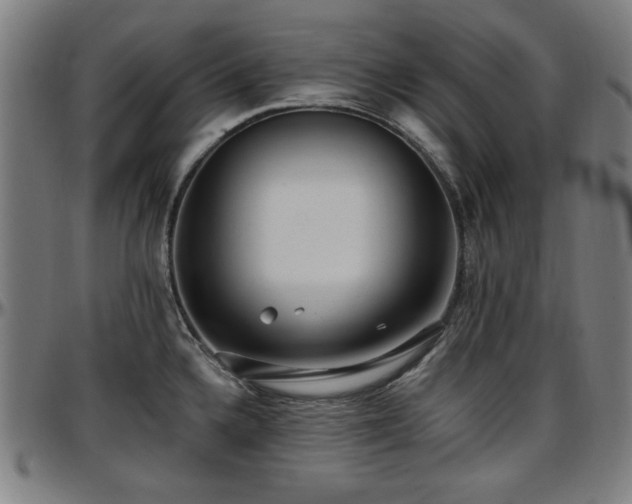 X0000097591336200802291209