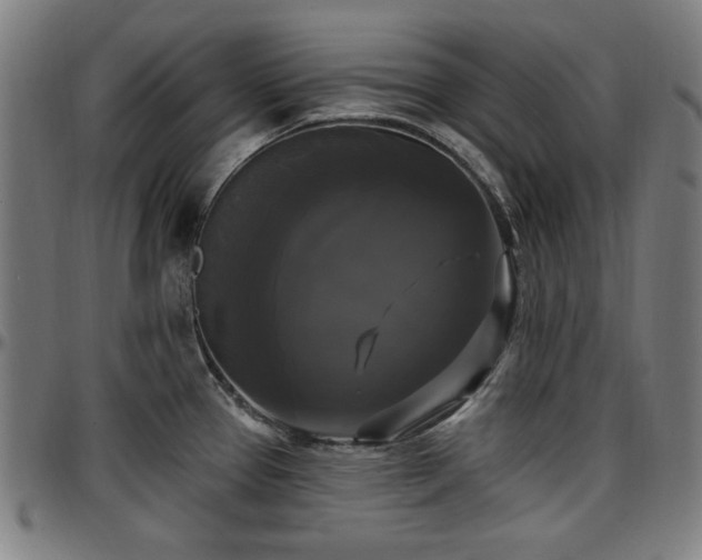 X0000097591337200802291209