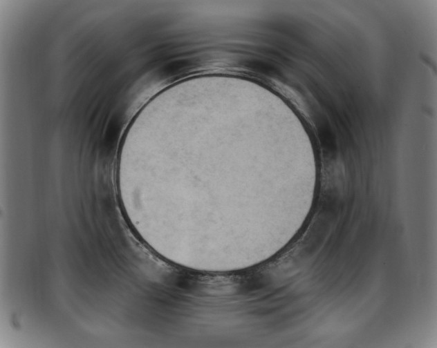 X0000097591338200802291209