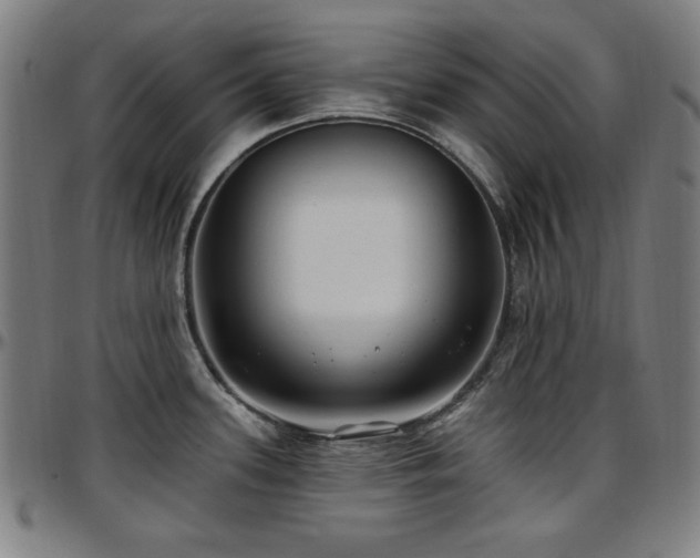X0000097591339200802291209