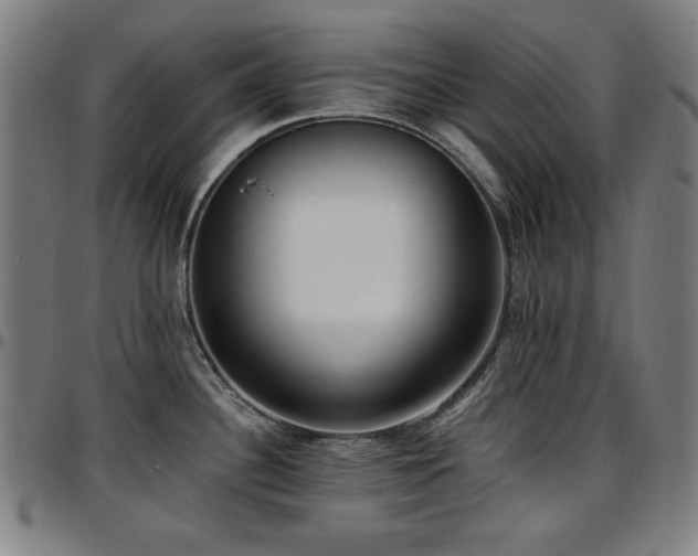 X0000097591340200802291209