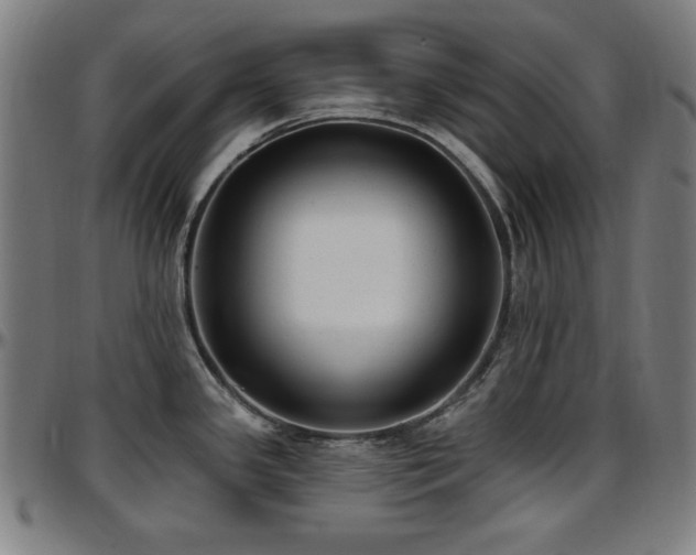 X0000097591341200802291209