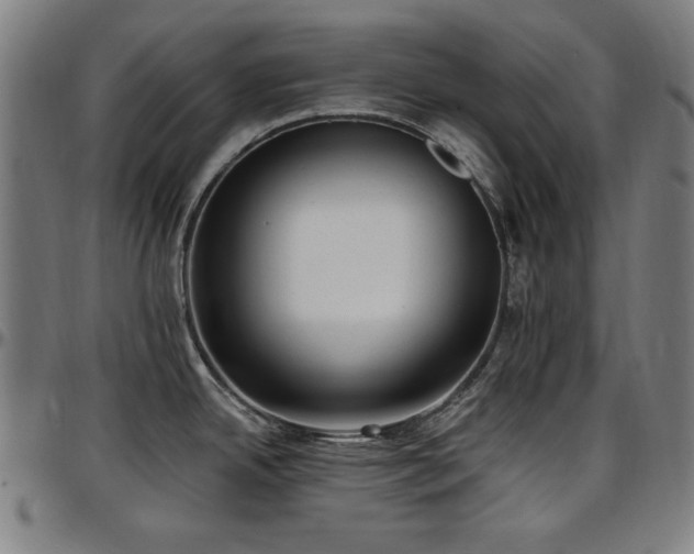 X0000097591342200802291209