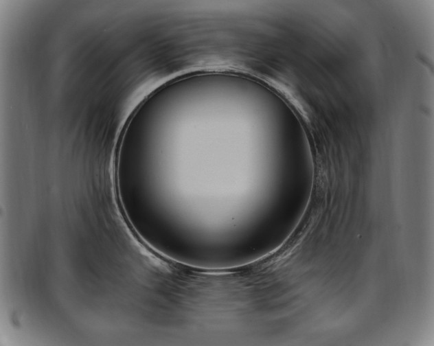 X0000097591343200802291209