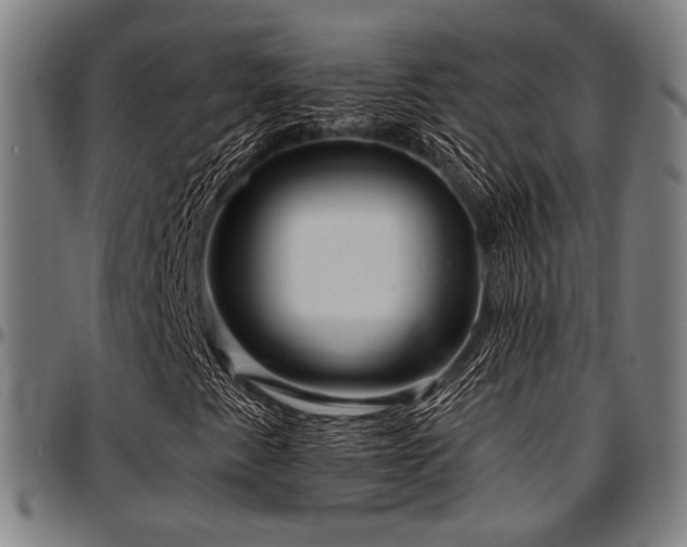 X0000097591345200802291209