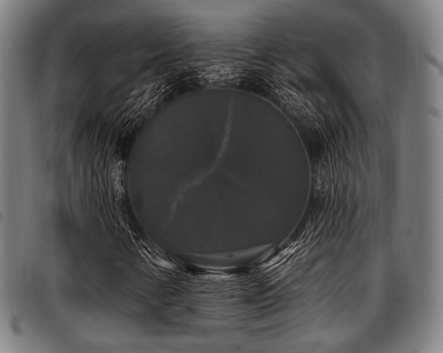 X0000097591346200802291209