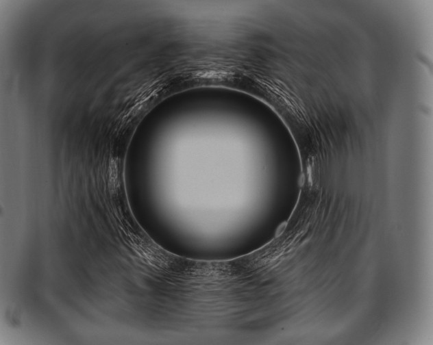 X0000097591347200802291209