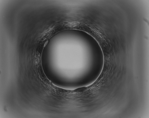 X0000097591349200802291209