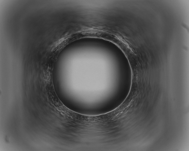 X0000097591350200802291209