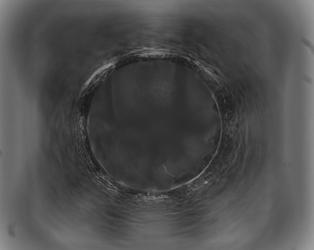 X0000097591351200802291209