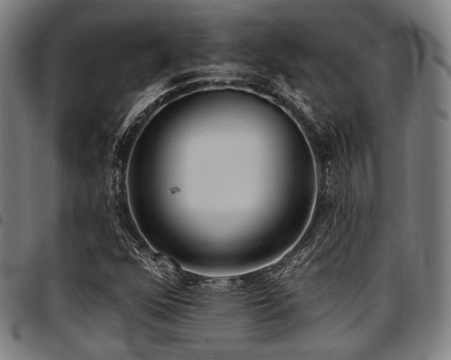 X0000097591352200802291209