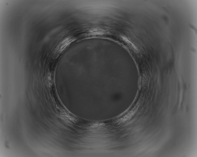X0000097591353200802291209