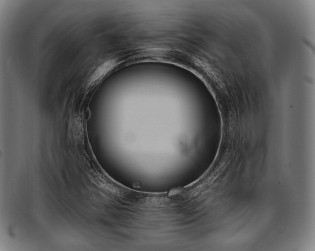 X0000097591354200802291209