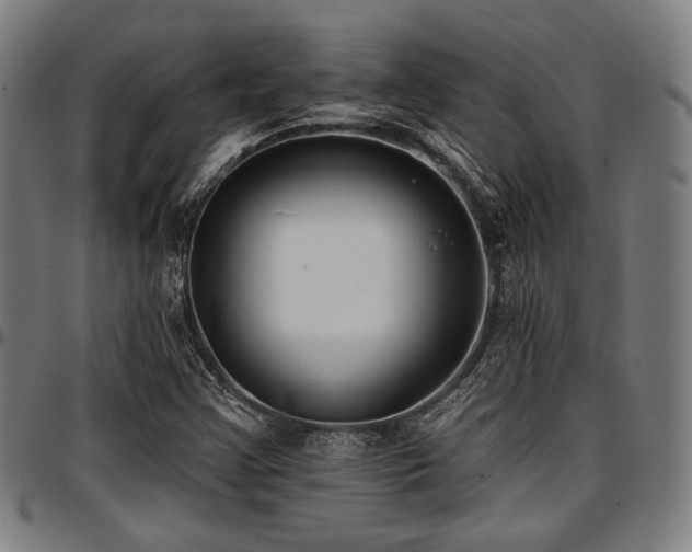 X0000097591355200802291209