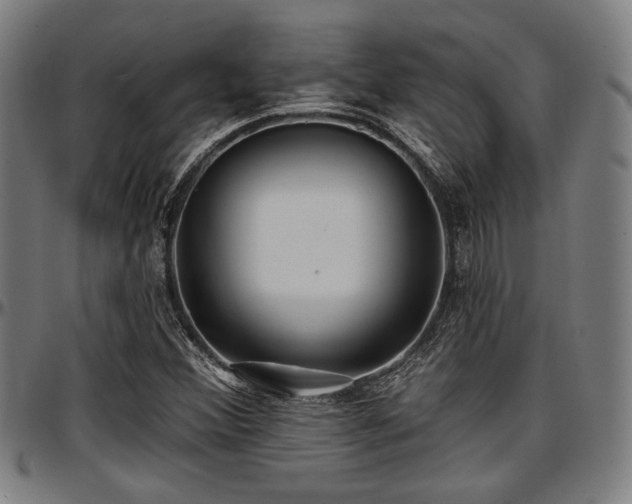 X0000097591356200802291209