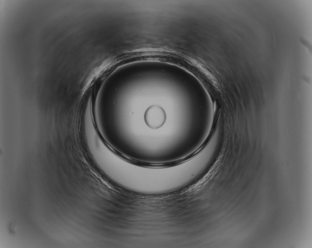 X0000097591357200802291209