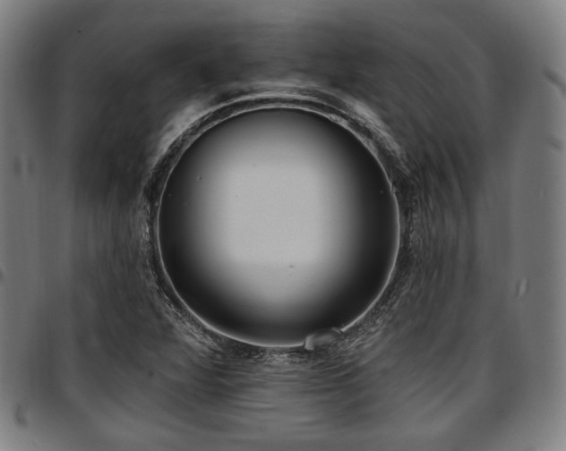 X0000097591360200802291209