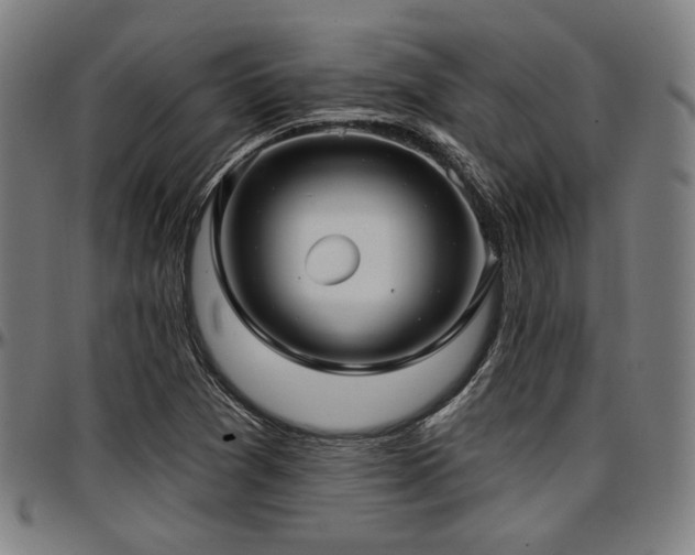 X0000097591361200802291209