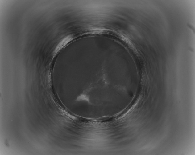 X0000097591362200802291209
