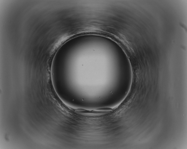 X0000097591363200802291209