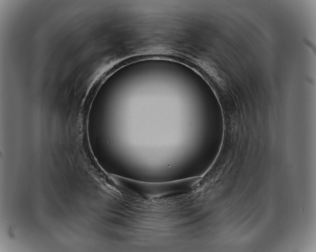 X0000097591364200802291209