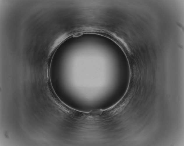 X0000097591365200802291208
