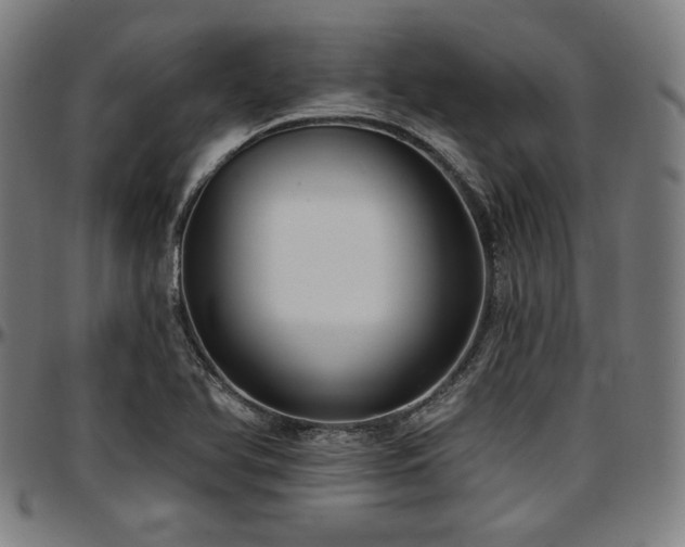 X0000097591366200802291208