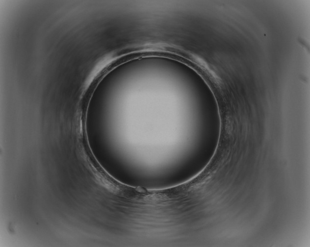 X0000097591368200802291208