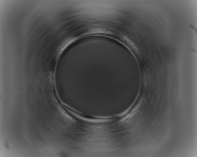 X0000097591369200802291208