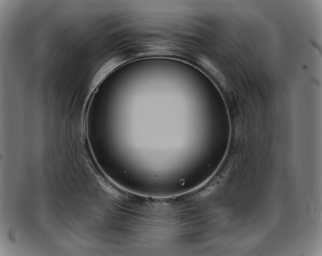 X0000097591370200802291208