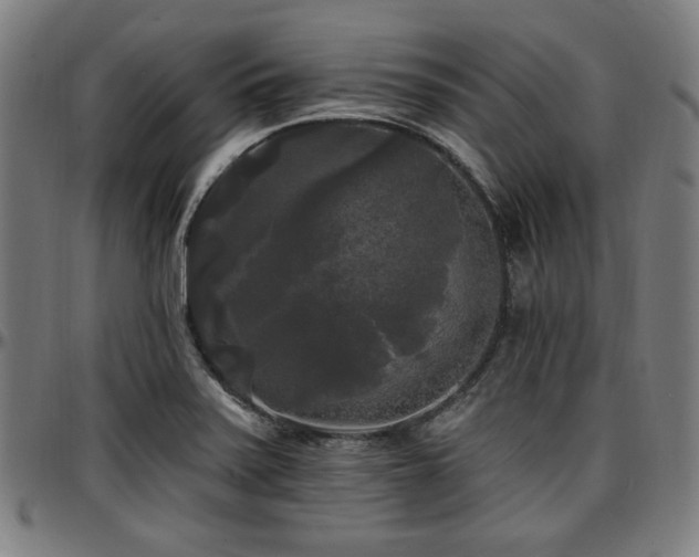 X0000097591371200802291208