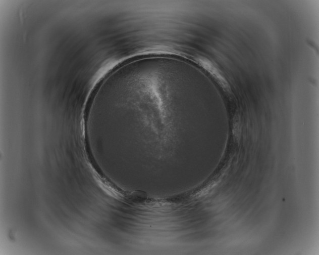 X0000097591372200802291208