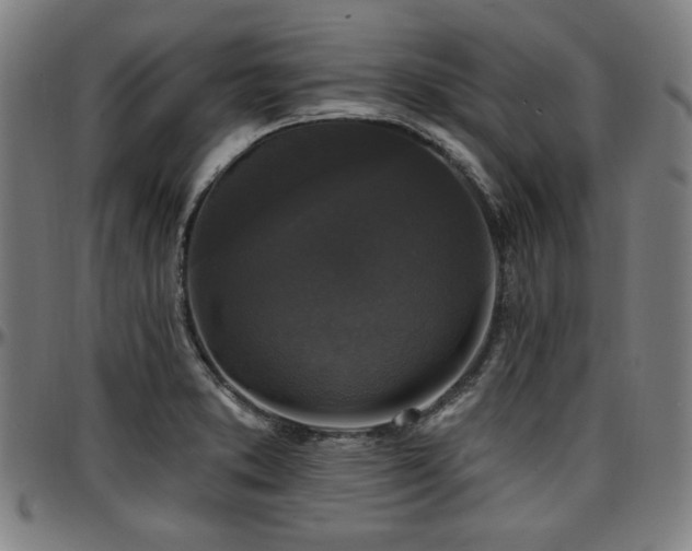 X0000097591373200802291208