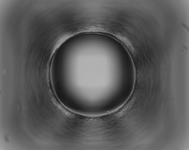 X0000097591374200802291208